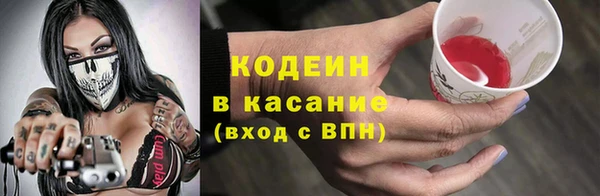 стаф Осинники