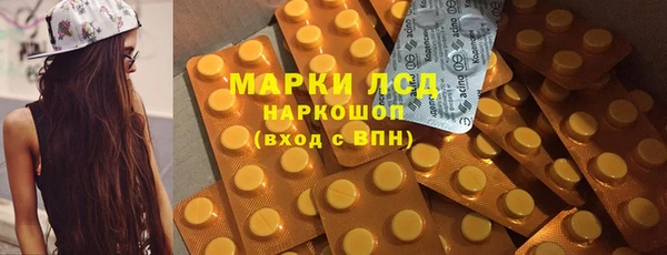 гидропоника Алзамай