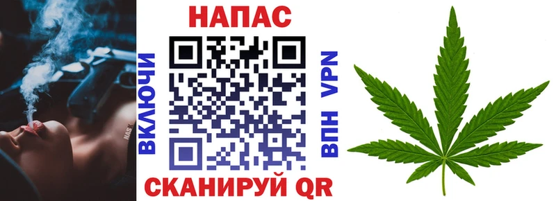 Конопля гибрид  Урай 